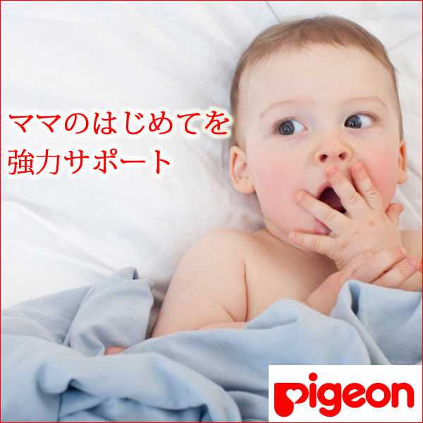 pigeon_2.jpg